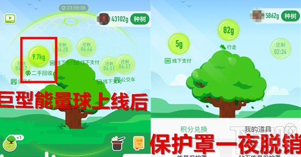 支付宝蚂蚁森林能量球比较大是多少？