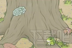 旅行青蛙大树照片怎么得？树底明信片怎么解锁？