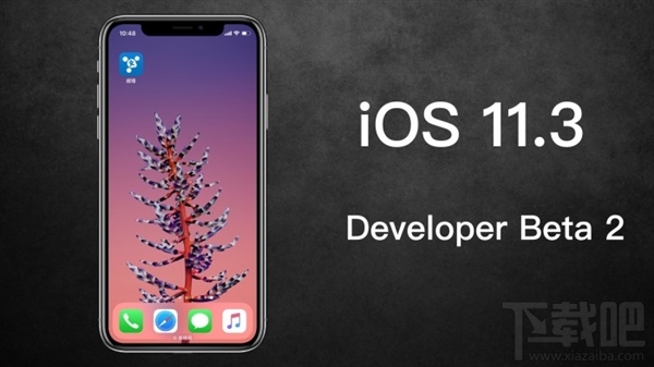 iOS 11.3 beat2来袭：支持手动降频