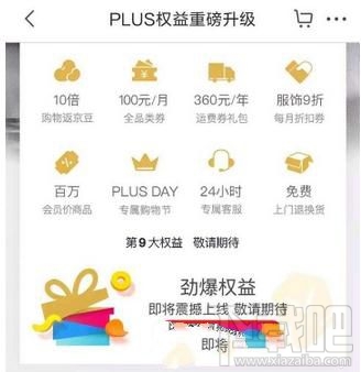 京东PLUS会员有什么权益