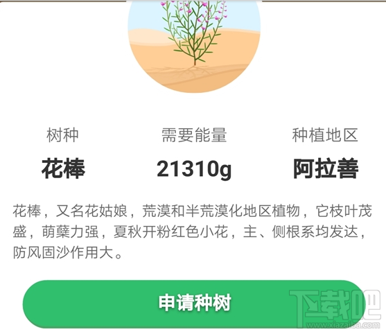 支付宝蚂蚁森林花姑娘怎么种？