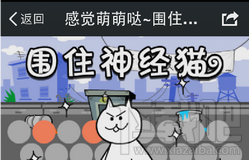 围住神经猫在哪玩|怎么下载