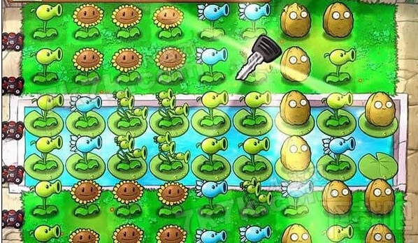 植物大战僵尸通关攻略 关卡3-4
