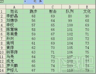 重复数据查找，巧用条件格式查找在WPS表格中的重复数据