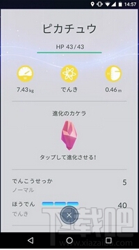 精灵宝可梦go怎么抓精灵 精灵宝可梦go捕捉技巧