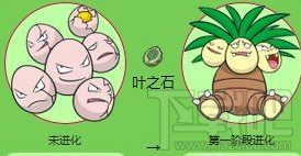 pokemon go椰蛋树技能怎么样 pokemon go椰蛋树属性介绍
