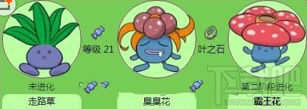 pokemon go霸王花技能怎么样 pokemon go霸王花属性介绍