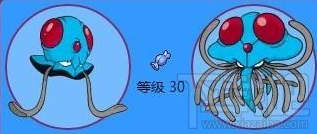pokemon go玛瑙水母怎么样 口袋妖怪go玛瑙水母属性