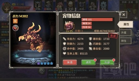 迷城物语宠物有什么类型 迷城物语宠物怎么挑选