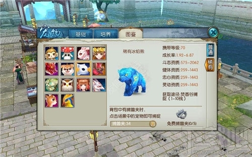 诛仙手游稀有宠物有什么特别？诛仙手游稀有宠物有什么不同