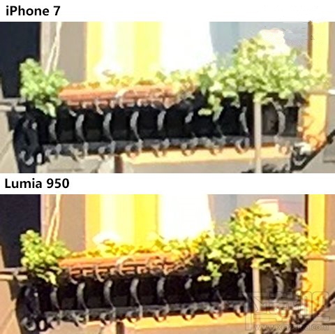 苹果iPhone7与微软Lumia950日光拍照哪个好？苹果iPhone7与微软Lumia950日光拍照对比