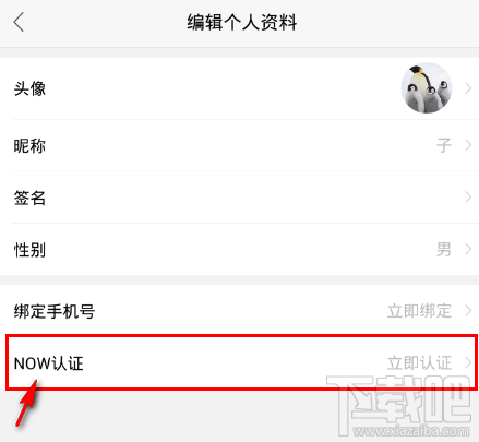 NOW直播怎么NOW认证