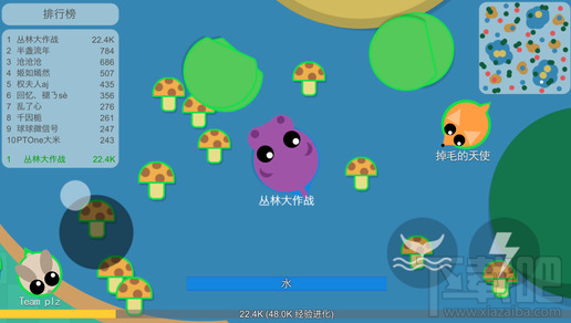 丛林大作战不同环境动物进化顺序推荐