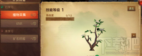 光明大陆采集学什么好？光明大陆手游采集玩法攻略