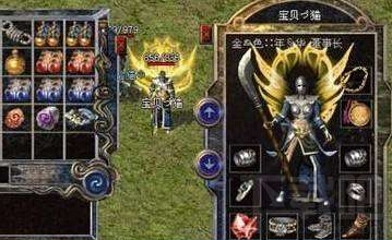 传奇五大珍稀道具,，佳是无价之宝？