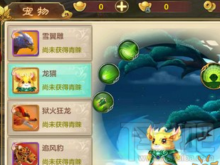 热血江湖手游龙猫宠物属性详解
