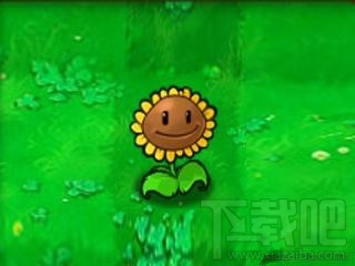 植物大战僵尸2原始向日葵技能属性详解