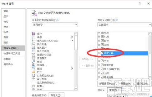 Word2016开发工具选项怎么添加到界面