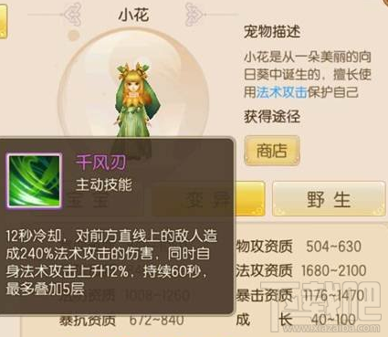 御剑情缘的宠物类型全介绍