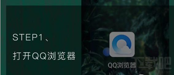 qq浏览器怎么识别花草？qq浏览器识你所见怎么玩