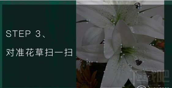 qq浏览器怎么识别花草？qq浏览器识你所见怎么玩