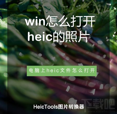 win怎么打开heic的照片？电脑heic文件怎么打开？