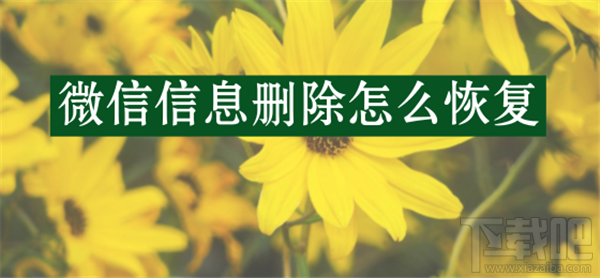 苹果手机微信信息删除怎么恢复？