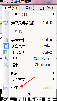 cajviewer阅读器怎样全屏显示