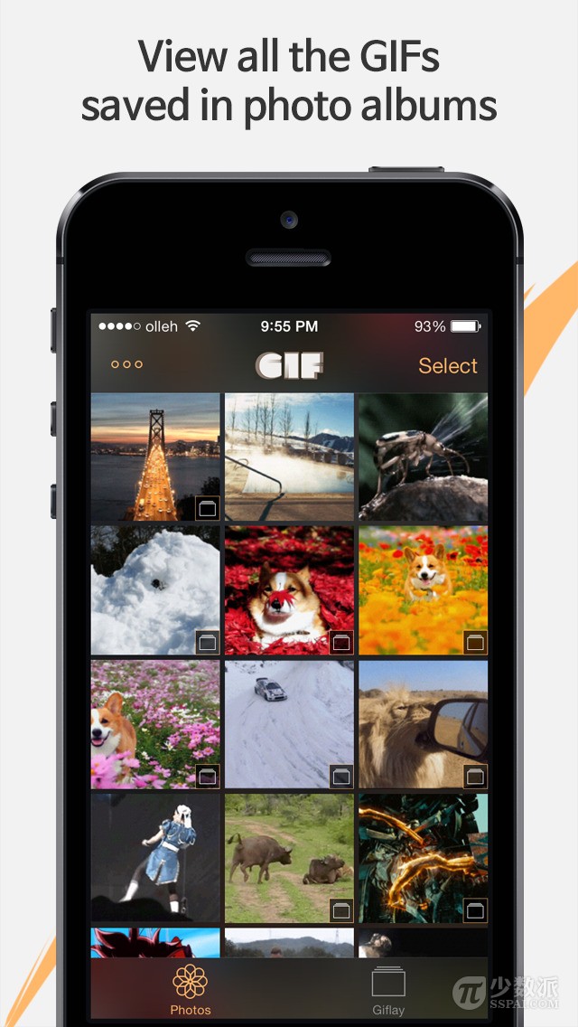  在 iOS 上看 GIF 动图的相册：Giflay