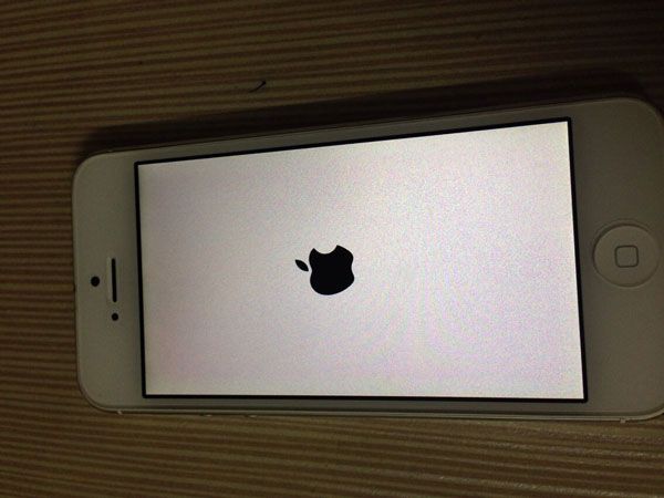 iPhone 5 提取SHSH文件教程 iPhone 5 备份SHSH办法