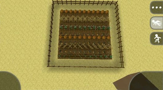 《生存战争》实用农田制作教程
