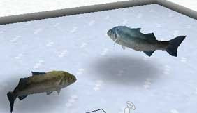 《生存战争》生物介绍：鲈鱼
