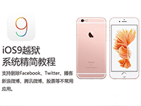 苹果iPhone手机iOS9系统越狱后精简应用教程(附清单)