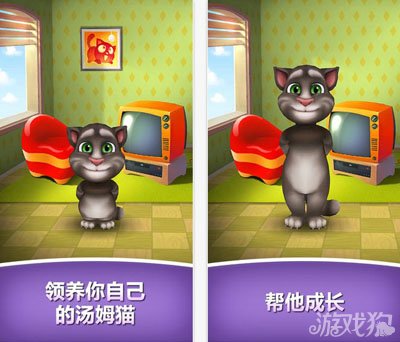 我的会说话的汤姆1.3版更新内容攻略公告