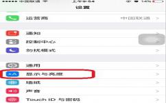 iPhone应用图标大小怎么设置 iPhone应用图标大小切换教程