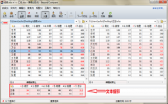 Beyond Compare怎么隐藏文本细节 Beyond Compare显示文本细节方法