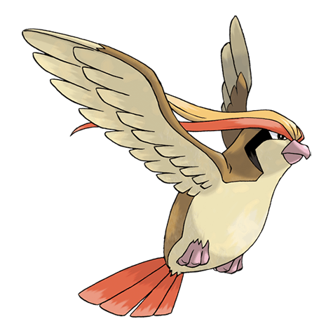 口袋妖怪go比雕在哪抓 Pokemon go比雕怎么样