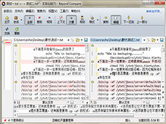 Beyond Compare文本比较取消缩进教程