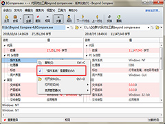 Beyond Compare怎么标记重要项