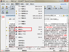 Beyond Compare文本替换技巧