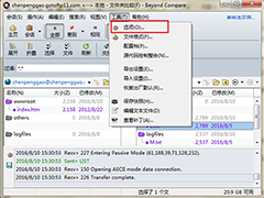 Beyond Compare更改过滤文件夹颜色方法