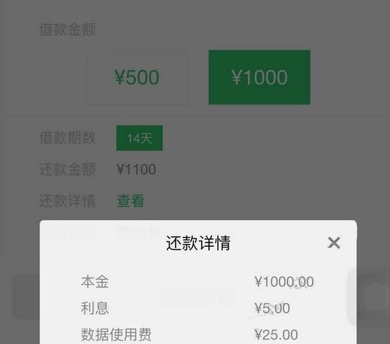 钱有路app审核时间多长