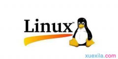 Linux服务器中怎样隐藏PHP版本