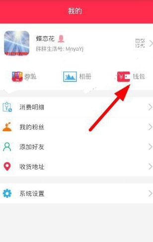 胖胖生活补贴月账单在哪看