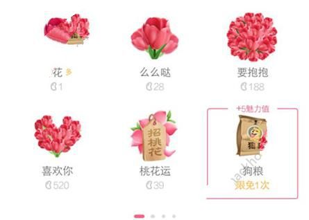 QQ狗粮能换钱吗？手机QQ狗粮多少钱？
