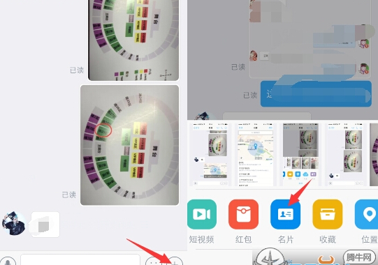 手机钉钉发送好友名片方法