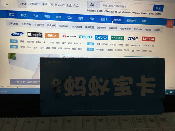 蚂蚁大宝卡与小宝卡哪个划算？蚂蚁大宝卡与蚂蚁小宝卡区别对比