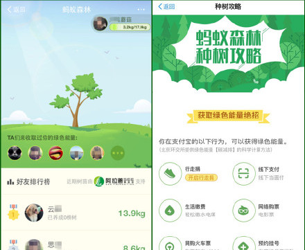 支付宝蚂蚁森林怎么领取树苗？