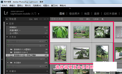 lightroom批量重命名照片怎么操作？