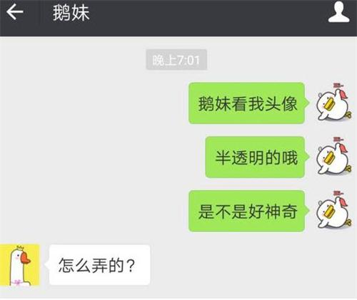 微信半透明头像怎么弄？微信半透明头像设置教程